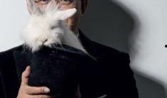 卓伟最新爆料明星恋情,明星恋情再掀波澜，神秘对象引热议